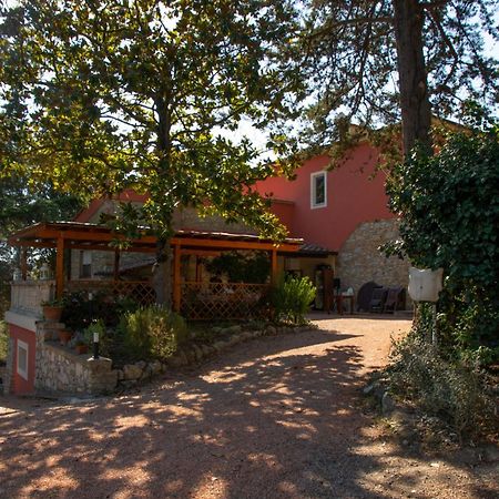 Agriturismo Terre Della Rinascita Castelnuovo della Misericordia Buitenkant foto