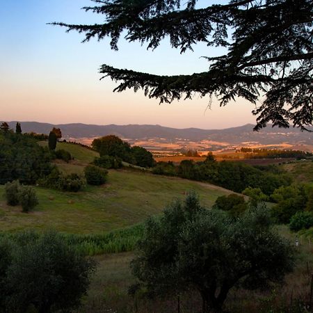 Agriturismo Terre Della Rinascita Castelnuovo della Misericordia Buitenkant foto