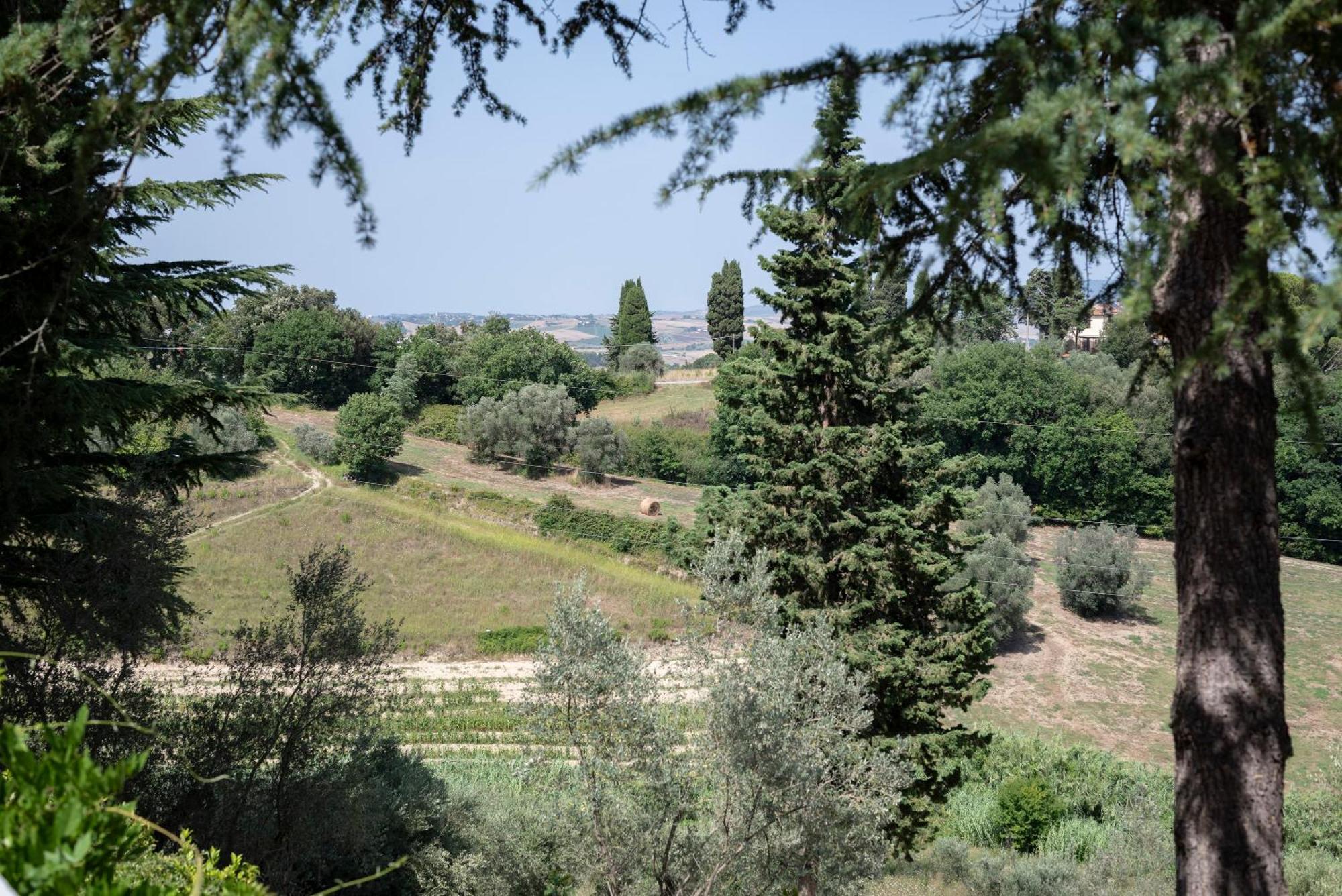 Agriturismo Terre Della Rinascita Castelnuovo della Misericordia Buitenkant foto