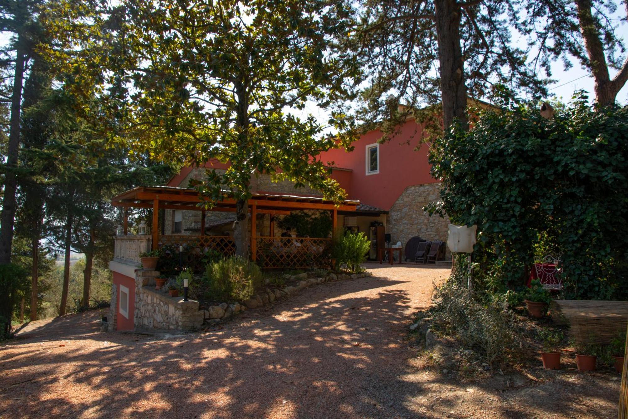 Agriturismo Terre Della Rinascita Castelnuovo della Misericordia Buitenkant foto