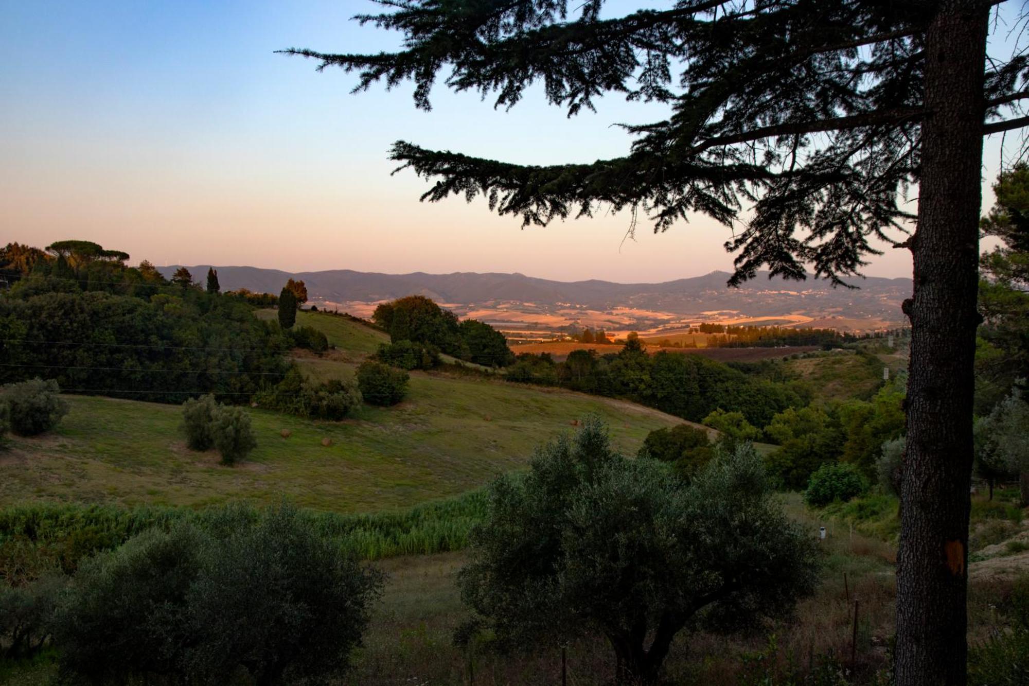 Agriturismo Terre Della Rinascita Castelnuovo della Misericordia Buitenkant foto
