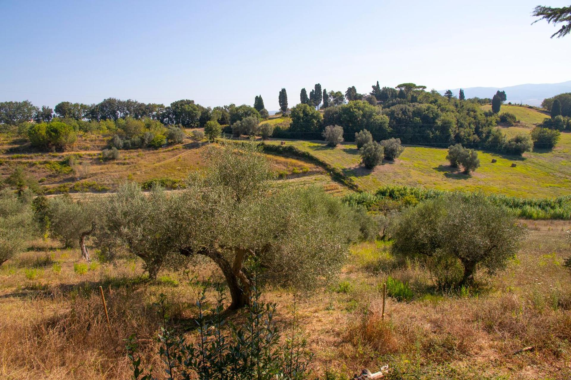Agriturismo Terre Della Rinascita Castelnuovo della Misericordia Buitenkant foto