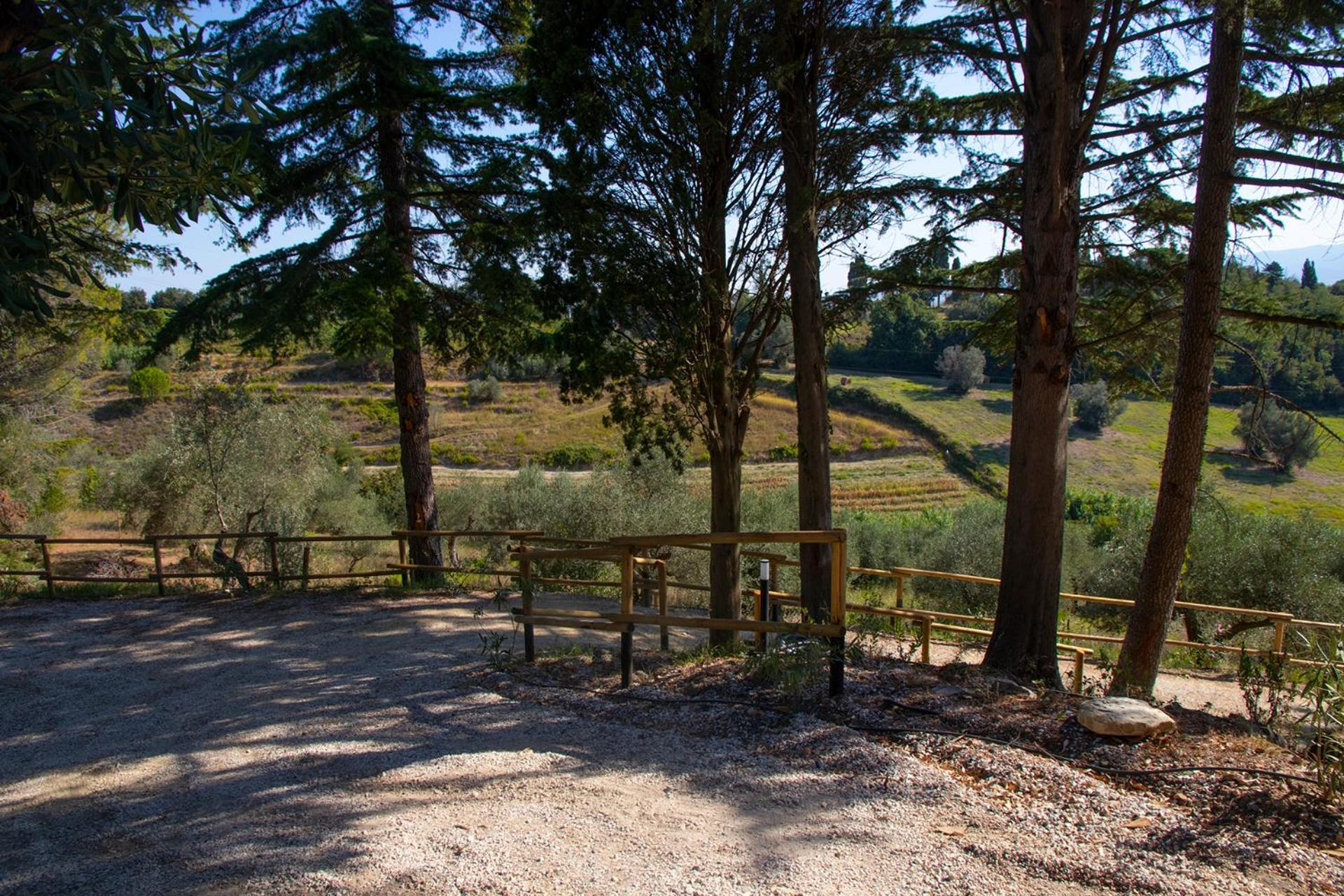Agriturismo Terre Della Rinascita Castelnuovo della Misericordia Buitenkant foto
