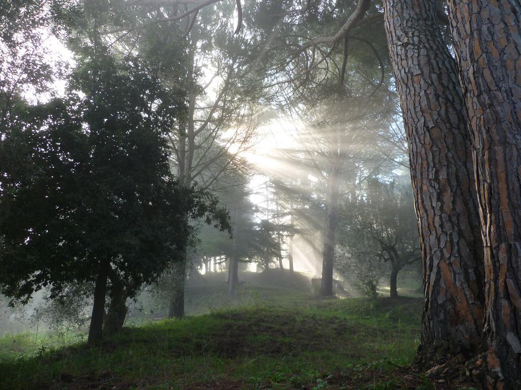 Agriturismo Terre Della Rinascita Castelnuovo della Misericordia Buitenkant foto